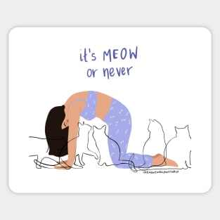 Meow or never Sticker